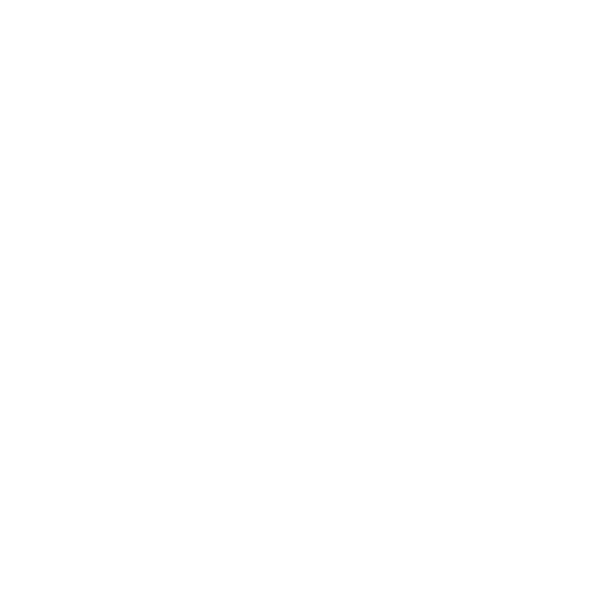 Idsfera_Experience-2